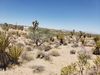 Sandview Drive photo